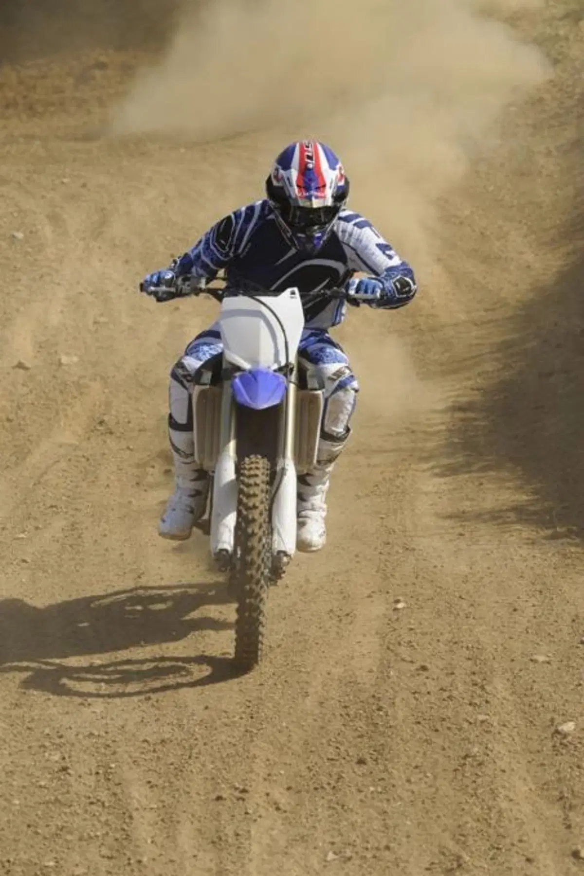Yamaha YZF 250 2014  (3)