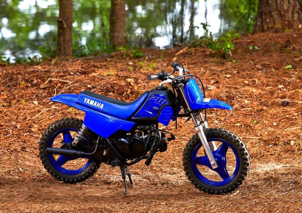 Yamaha PW 50 (2022) (2)