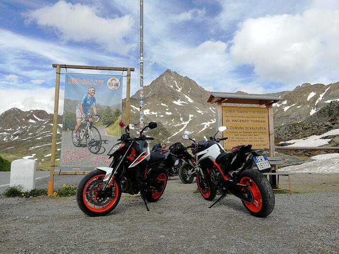 L'arrivo sul Gavia