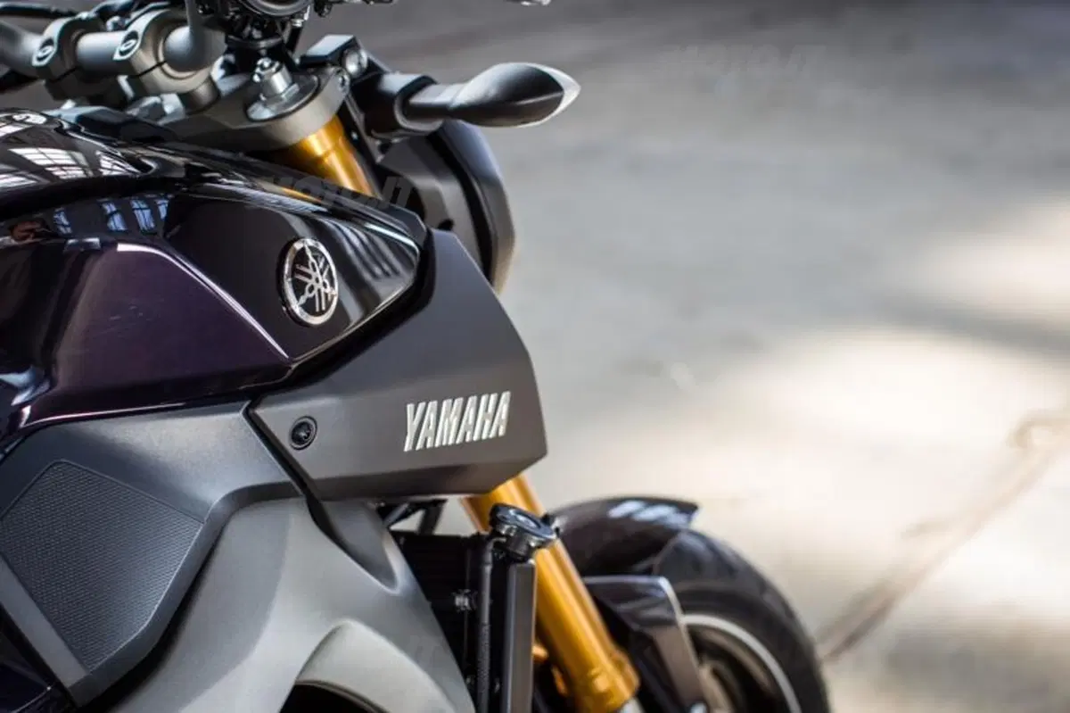 Yamaha MT-09  (40)