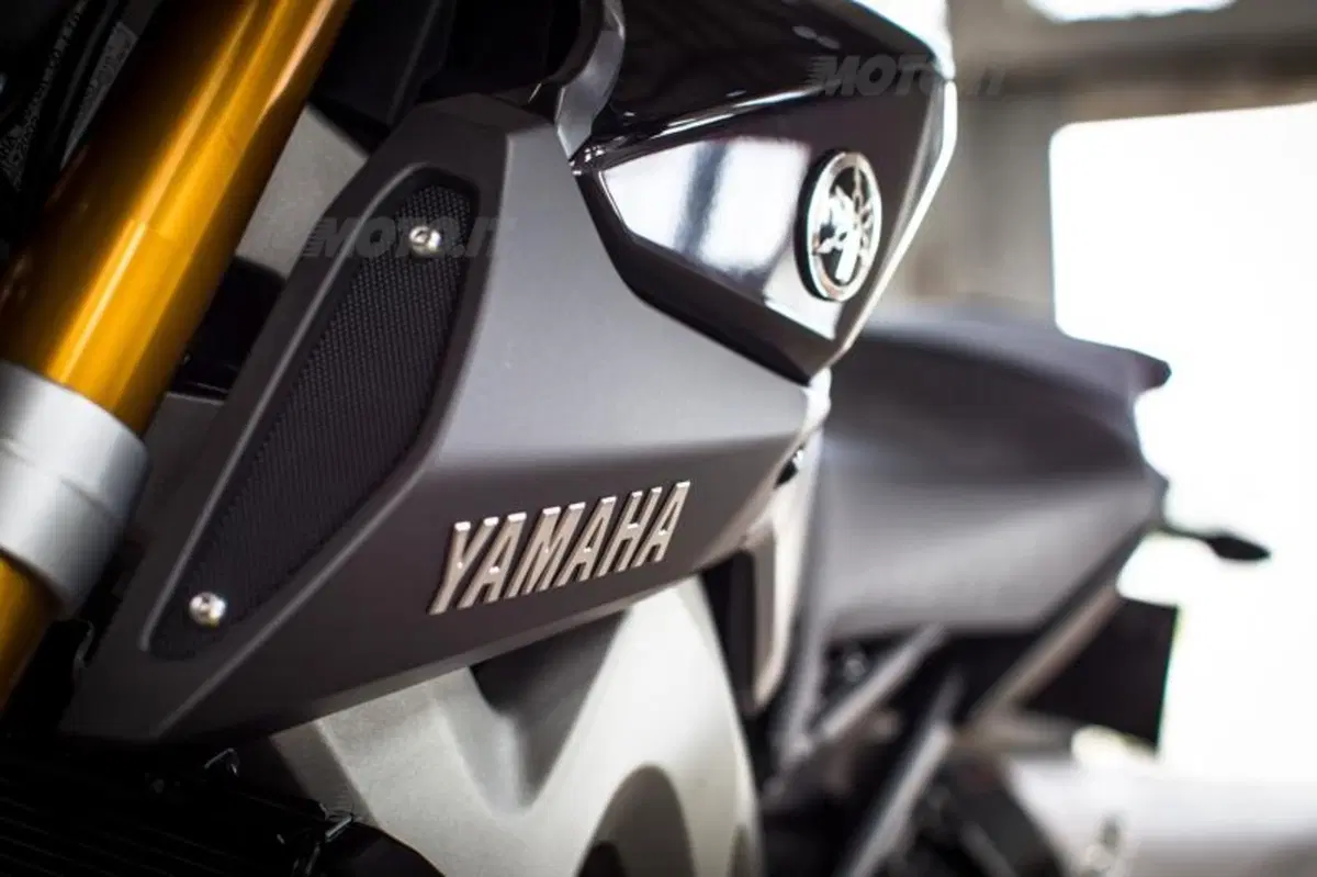 Yamaha MT-09  (53)
