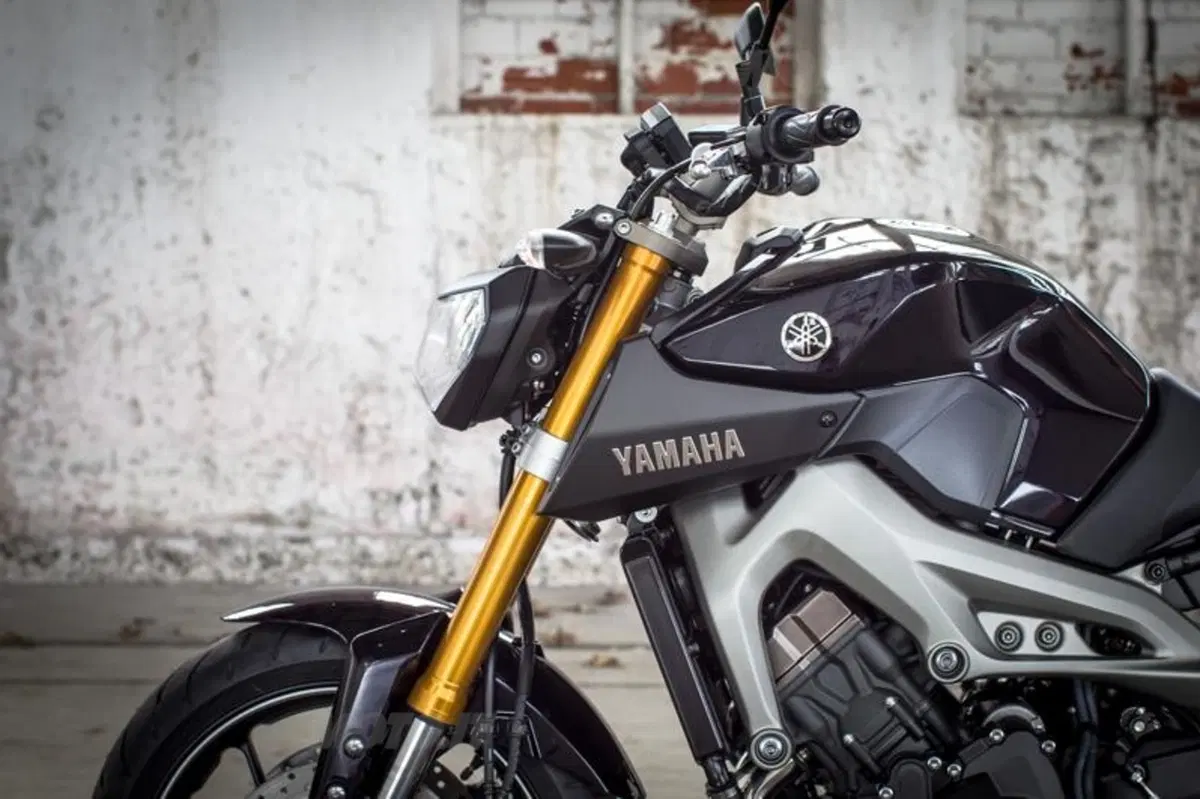 Yamaha MT-09  (56)