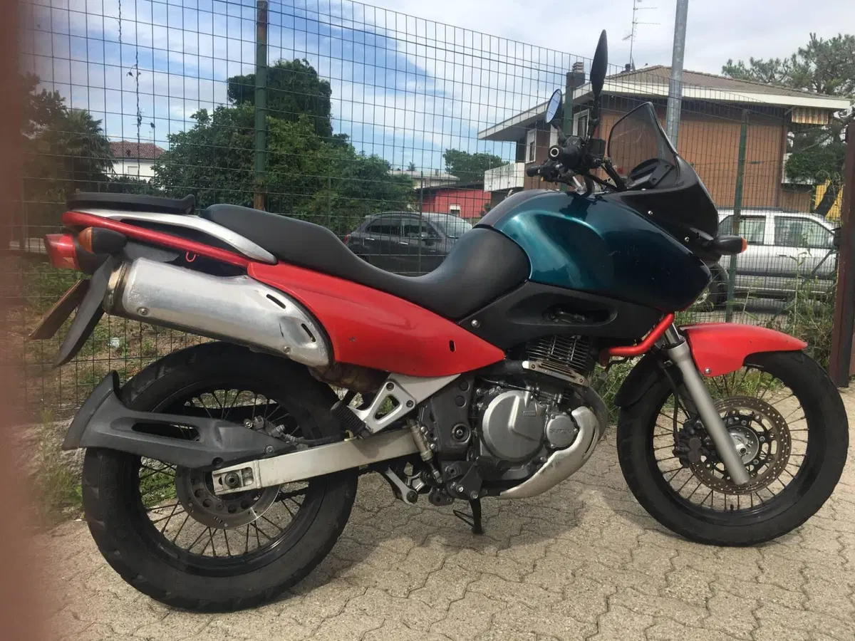 Suzuki XF 650 Freewind (1997 - 03) (3)