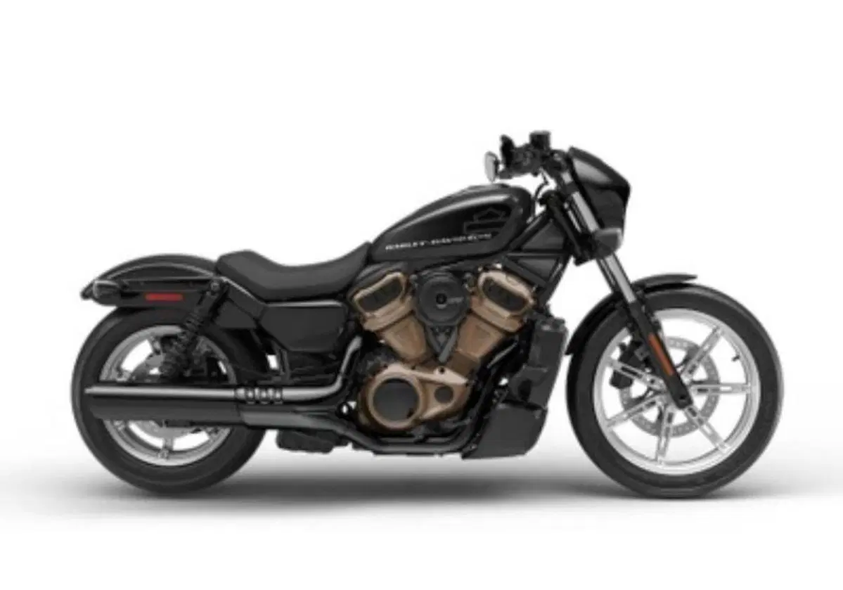 Harley-Davidson: la prossima Sportster sarà più tradizionale (2)