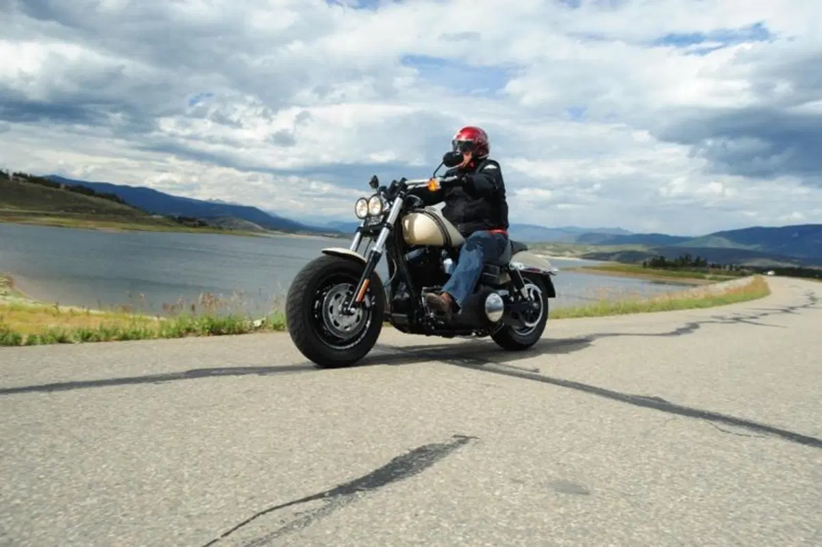Harley-Davidson Dyna Fat Bob (3)