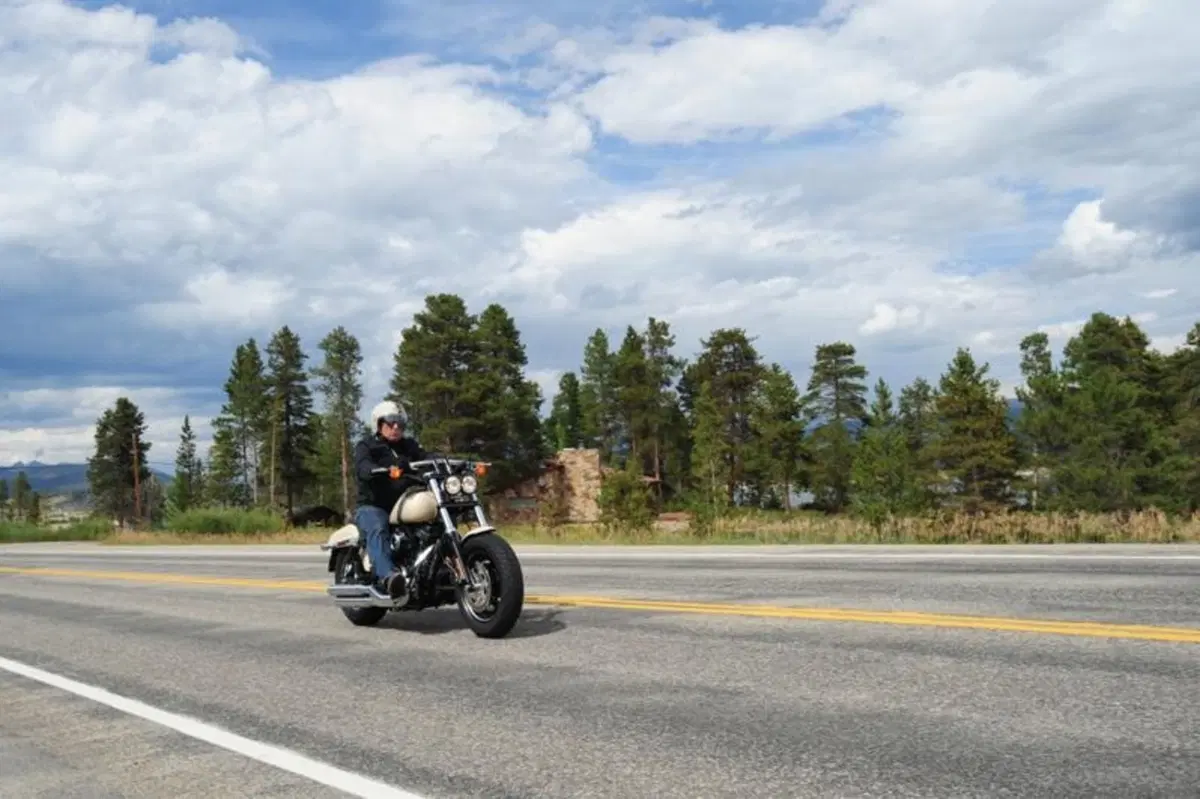 Harley-Davidson Dyna Fat Bob (4)