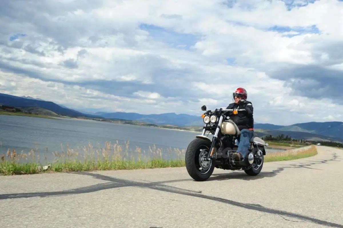 Harley-Davidson Dyna Fat Bob (5)