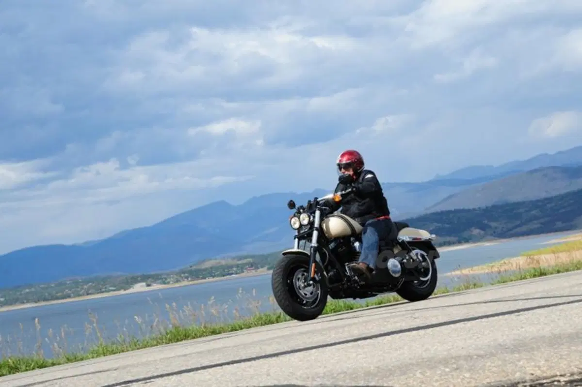 Harley-Davidson Dyna Fat Bob (6)