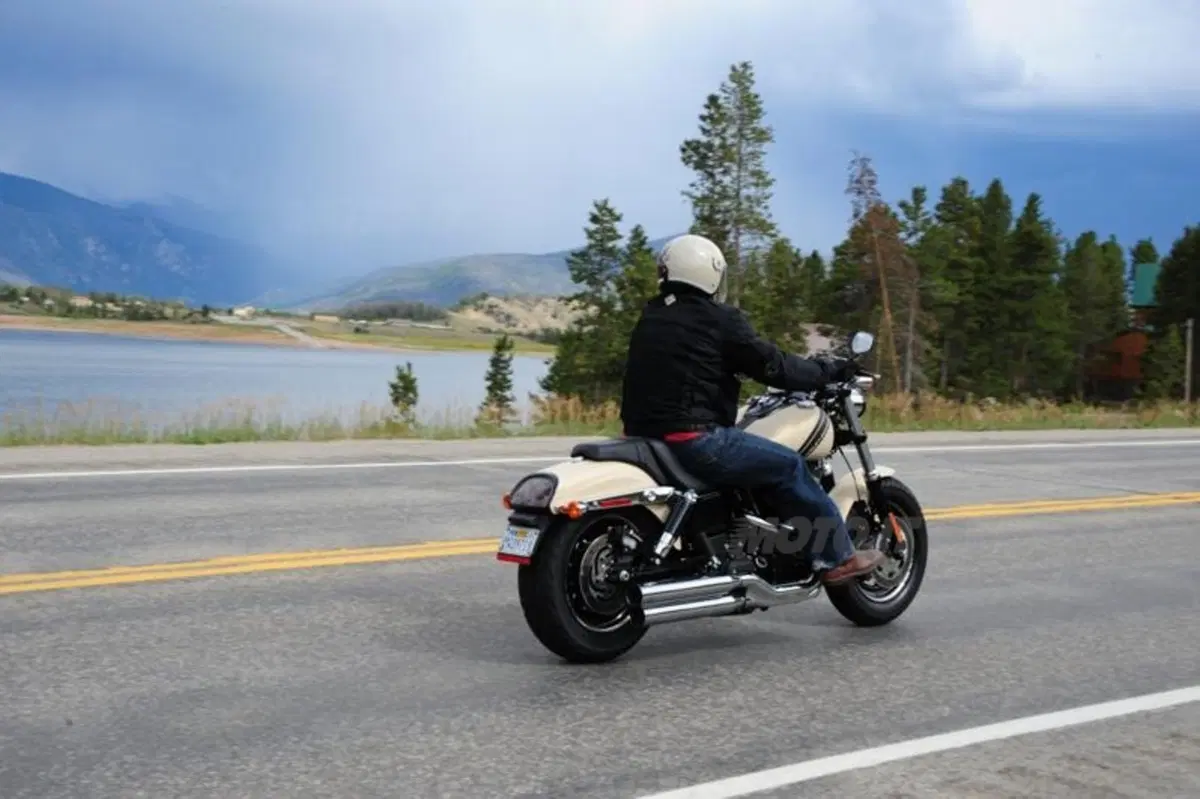 Harley-Davidson Dyna Fat Bob (7)