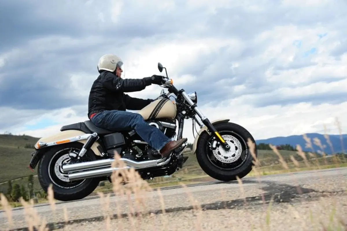 Harley-Davidson Dyna Fat Bob (8)