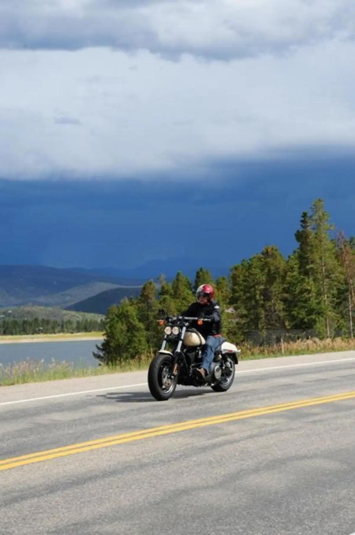 Harley-Davidson Dyna Fat Bob (10)