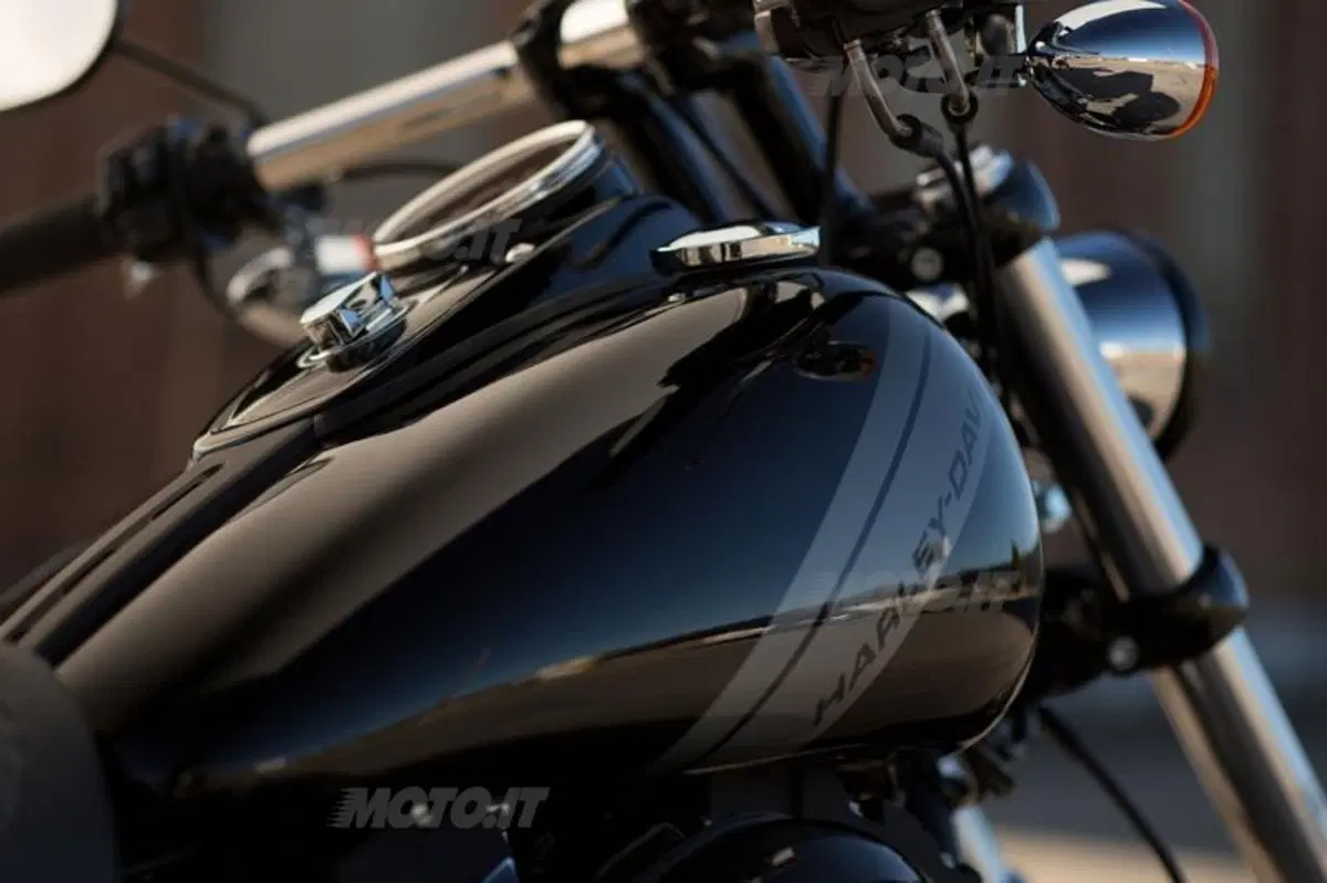 Harley-Davidson Dyna Fat Bob (18)