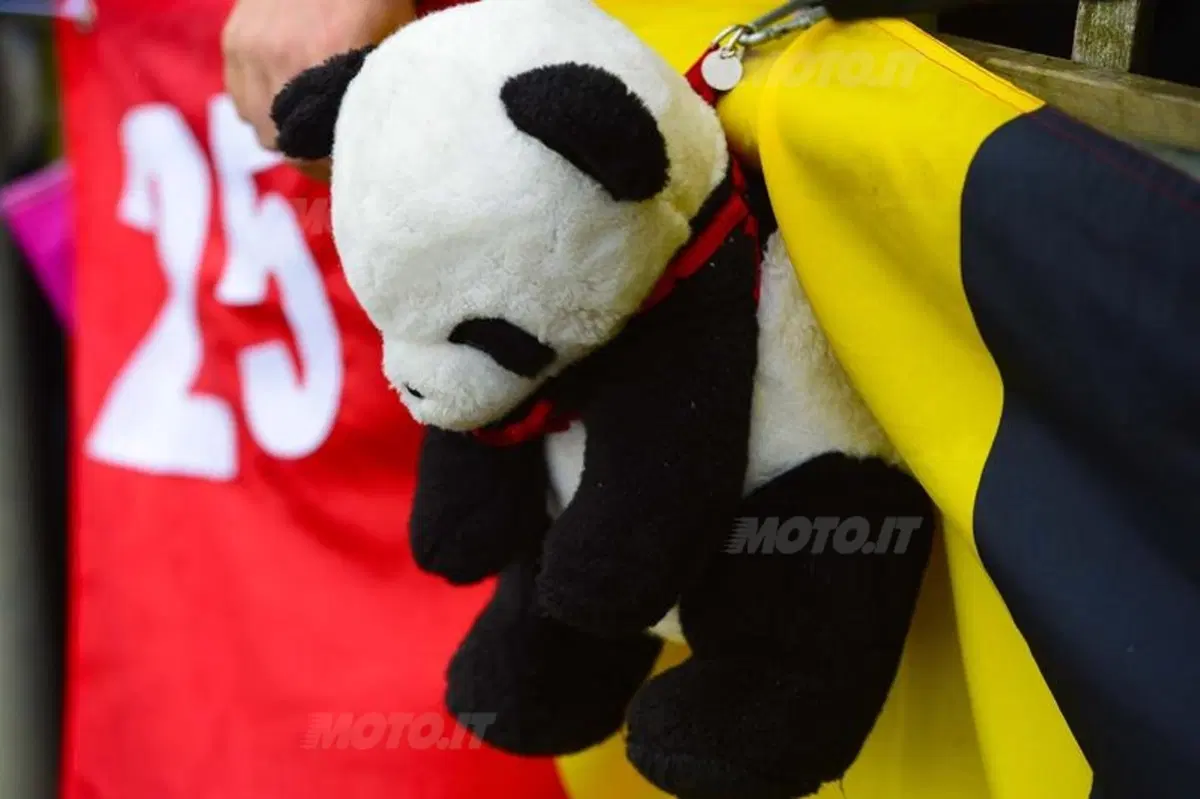 Le foto più spettacolari del GP del Benelux (49)