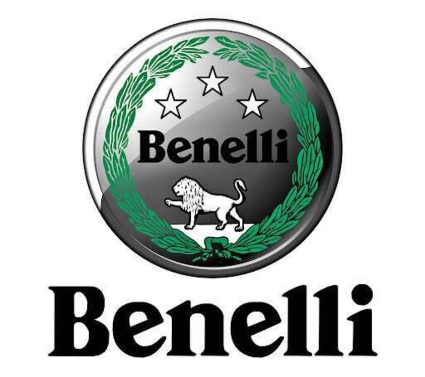 Benelli Leoncino 500 Trail (2021 - 24)