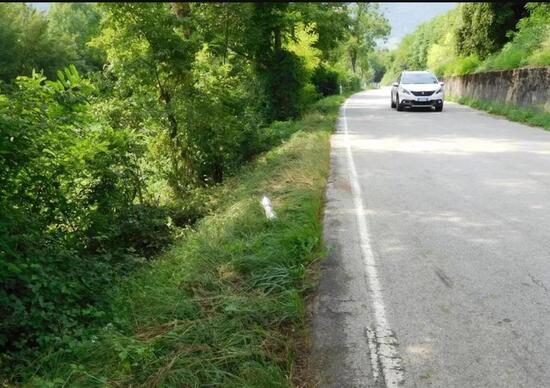 Belluno: motociclista travolto da una cerva, è grave