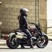 La Harley-Davidson Sportster S e le sue rivali