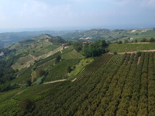 Ritorna l’8 delle Langhe, 5° Trofeo Dario Sebaste: seguilo con noi (5)