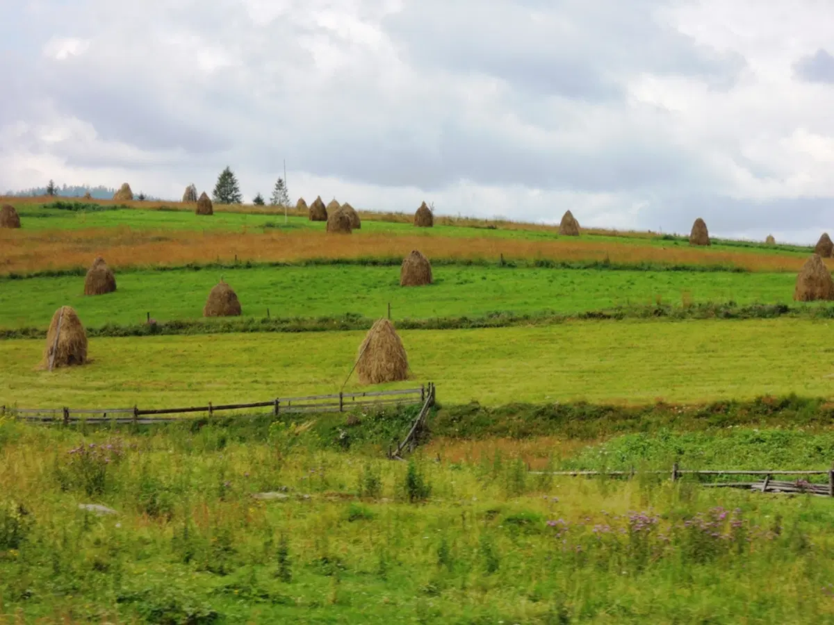 Viaggi in moto: sulle strade dell'URSS (49)