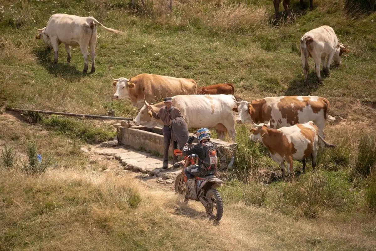Red Bull Romaniacs. Manuel Lettenbichler, KTM, terna secca (6)