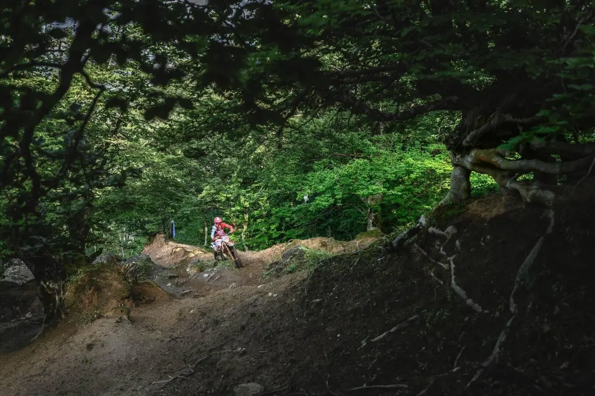 Red Bull Romaniacs. Manuel Lettenbichler, KTM, terna secca (14)