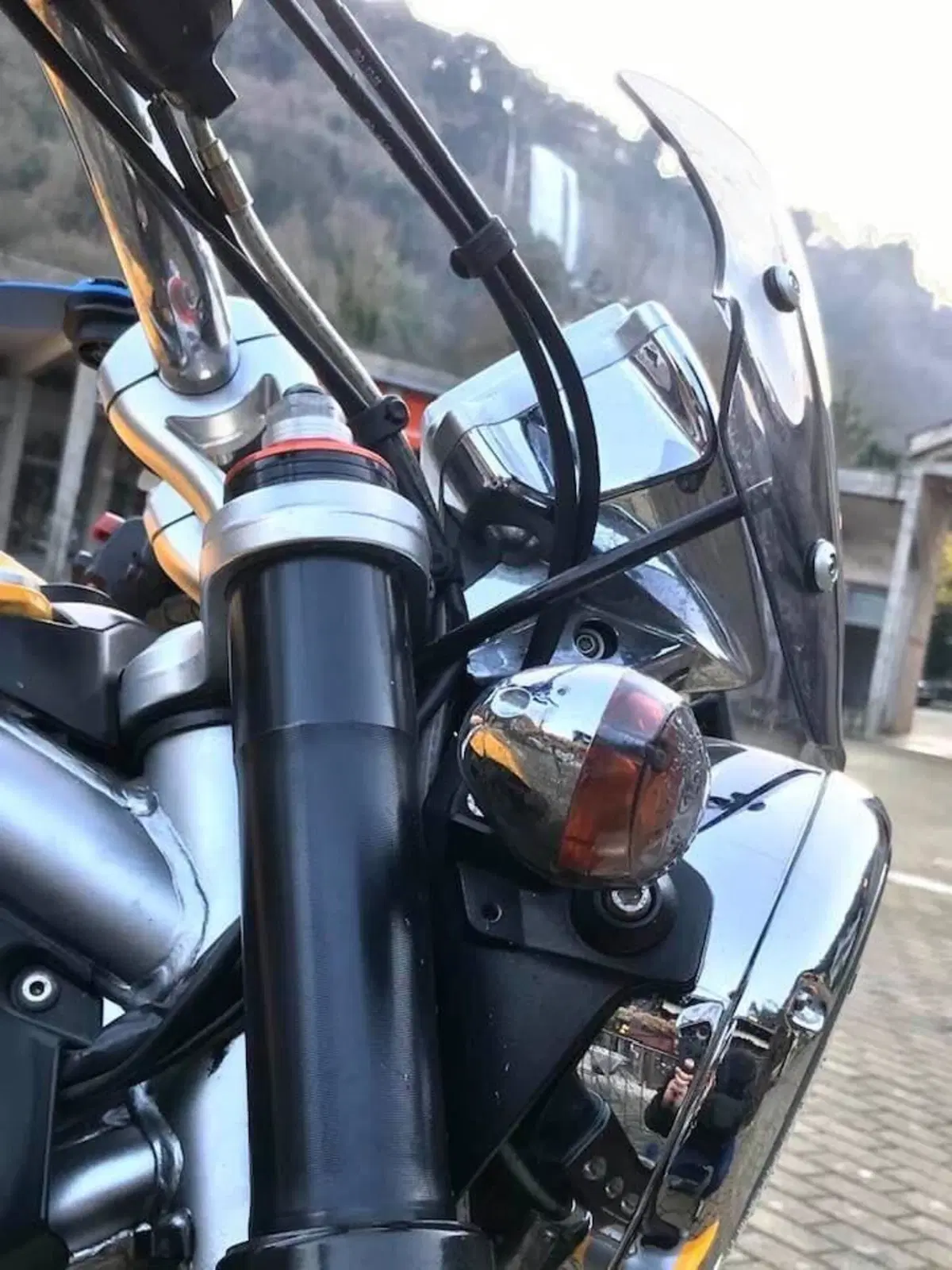 Moto Guzzi Griso 1100 (2005 - 11) (3)