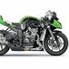 Le Kawasaki 600 e 1000 di serie e vincenti in pista