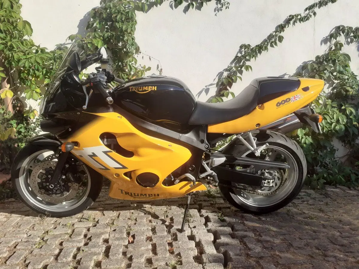 Triumph TT600 ASI (4)