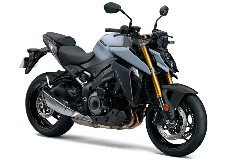 Suzuki GSX-S1000 (2021 - 25) (2)