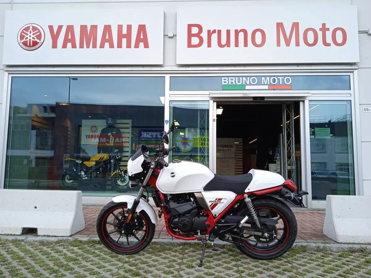 Sym Wolf CR 300 (2019 - 20) (2)