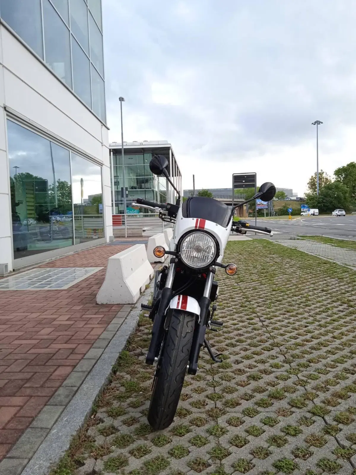 Sym Wolf CR 300 (2019 - 20) (3)