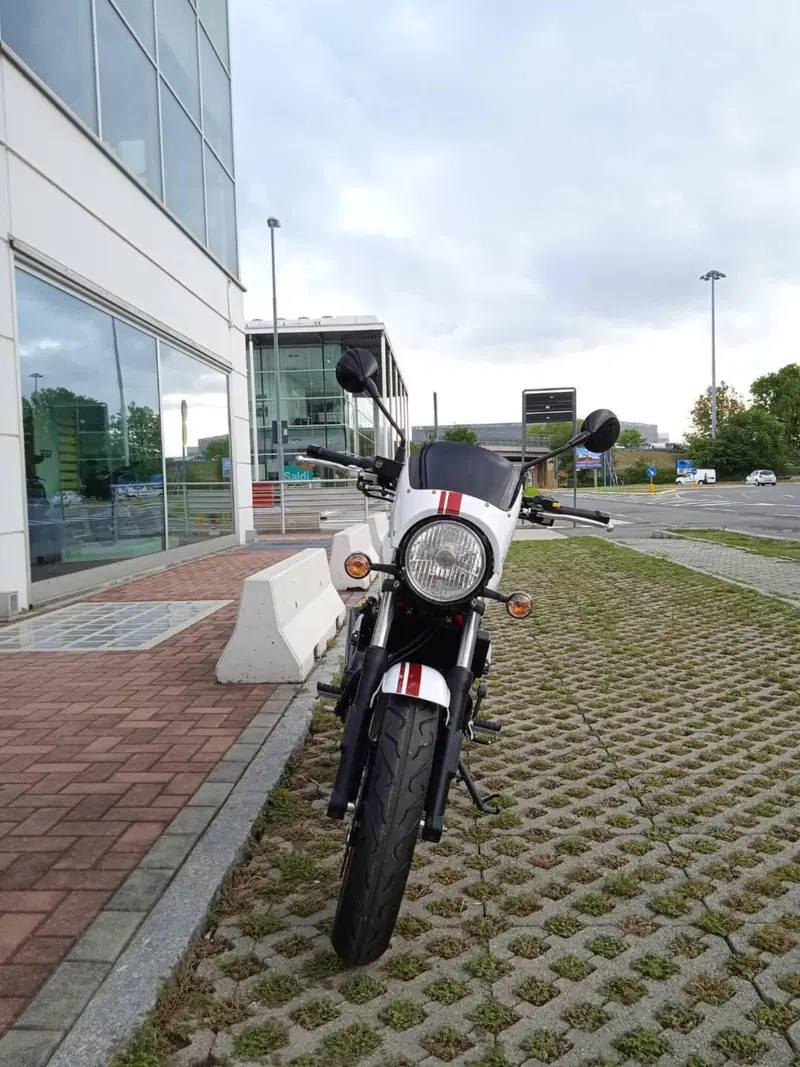 Sym Wolf CR 300 (2019 - 20) (3)