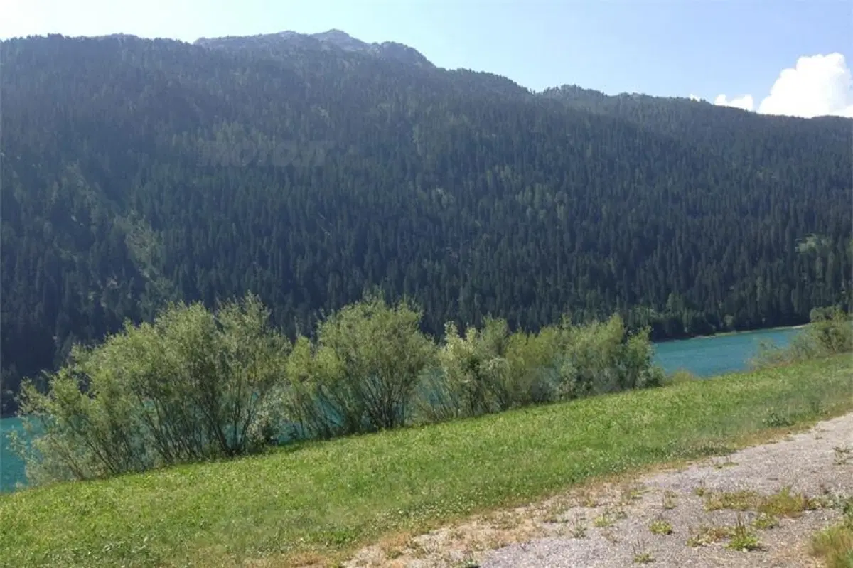 Viaggi in moto. "Alpingiornata" (8)