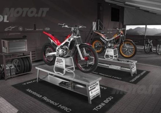 RedMoto distributore anche di Montesa Cota