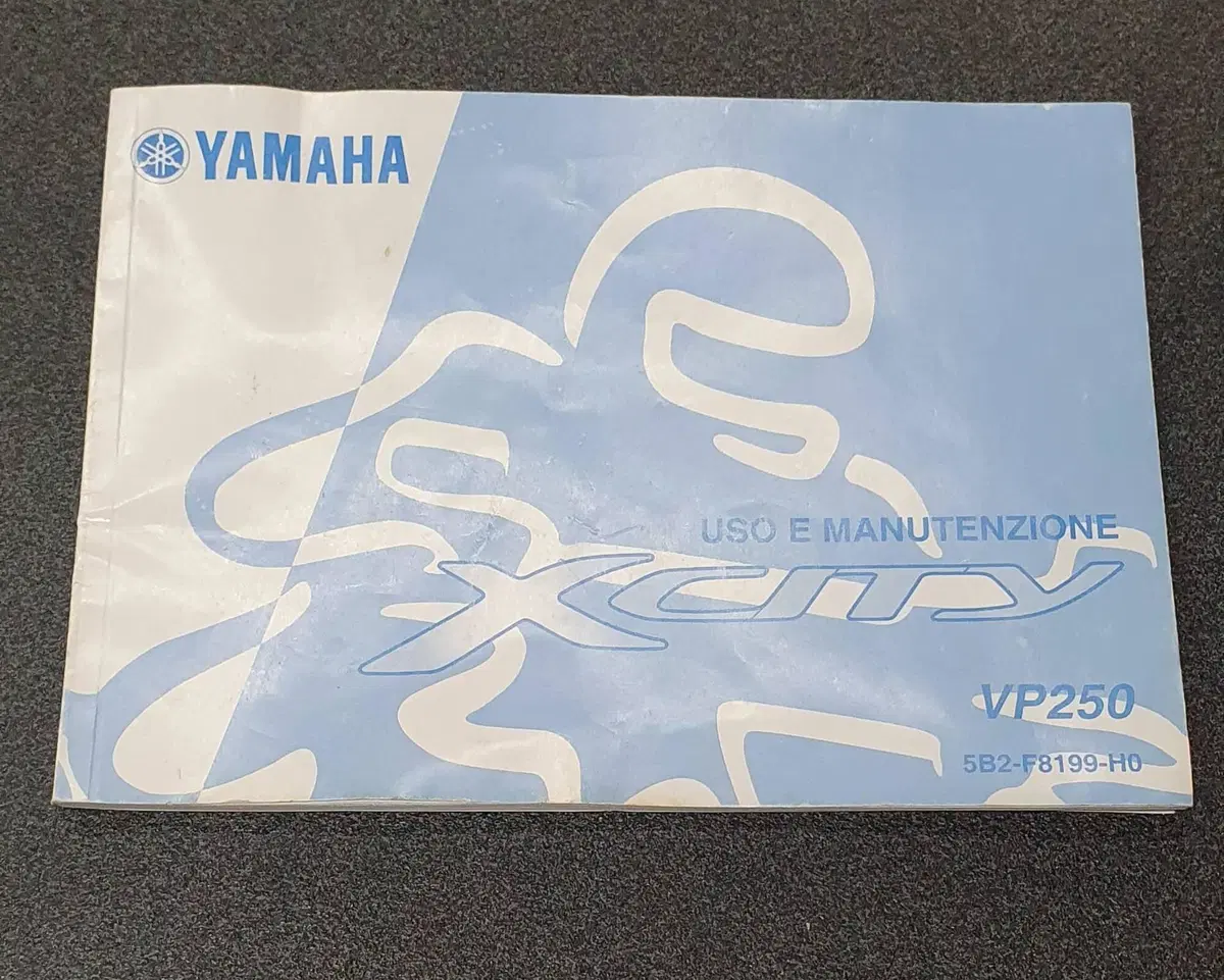 USO E MANUTENZIONE MANUALE YAMAHA XCITY 250 X CITY