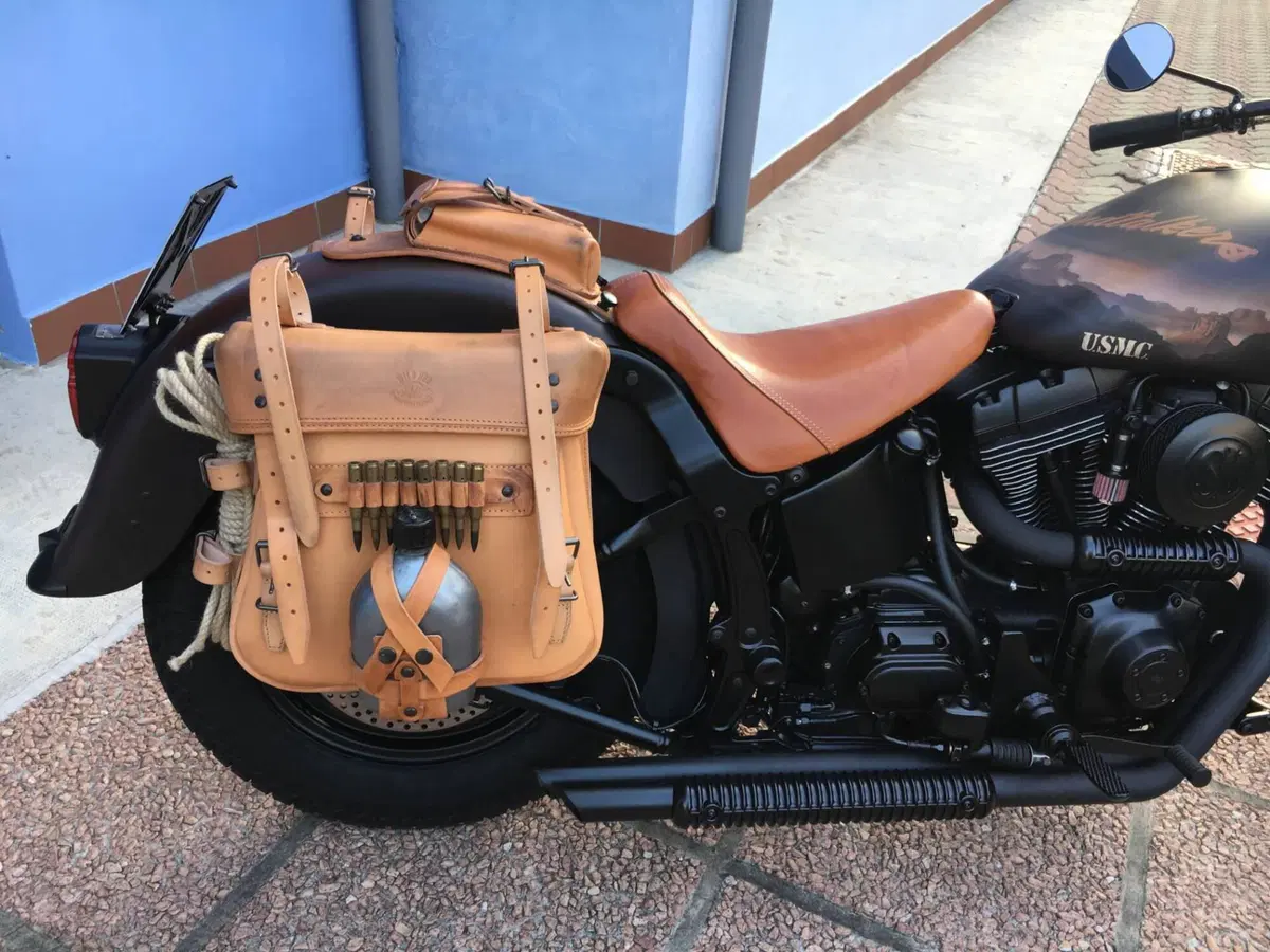 Harley-Davidson 1450 Heritage Springer (2000 - 03) - FLSTS (8)