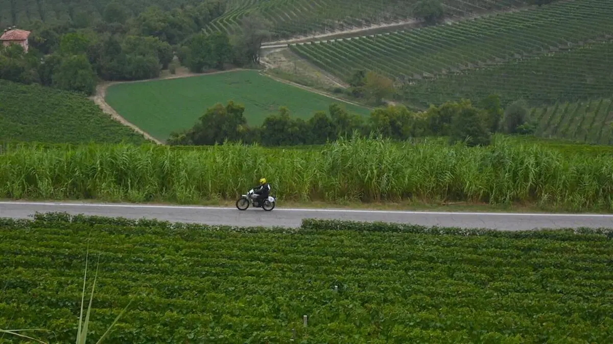 “8 Delle Langhe 2021- 5’ Trofeo Sebaste” noi c’eravamo (6)