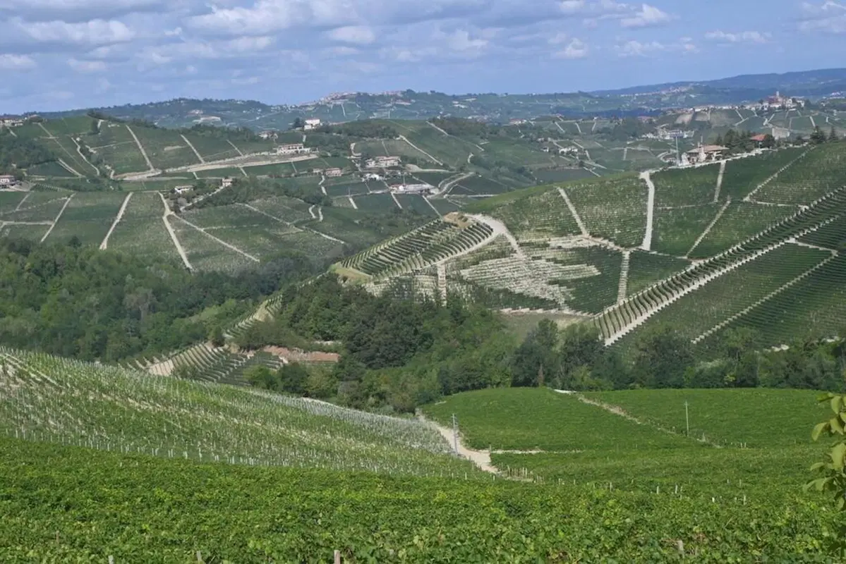 “8 Delle Langhe 2021- 5’ Trofeo Sebaste” noi c’eravamo (14)