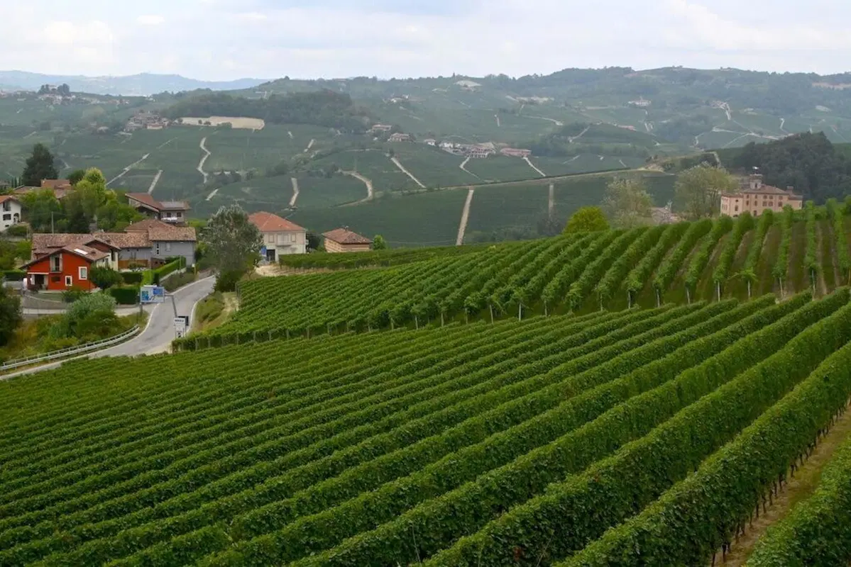 “8 Delle Langhe 2021- 5’ Trofeo Sebaste” noi c’eravamo (24)