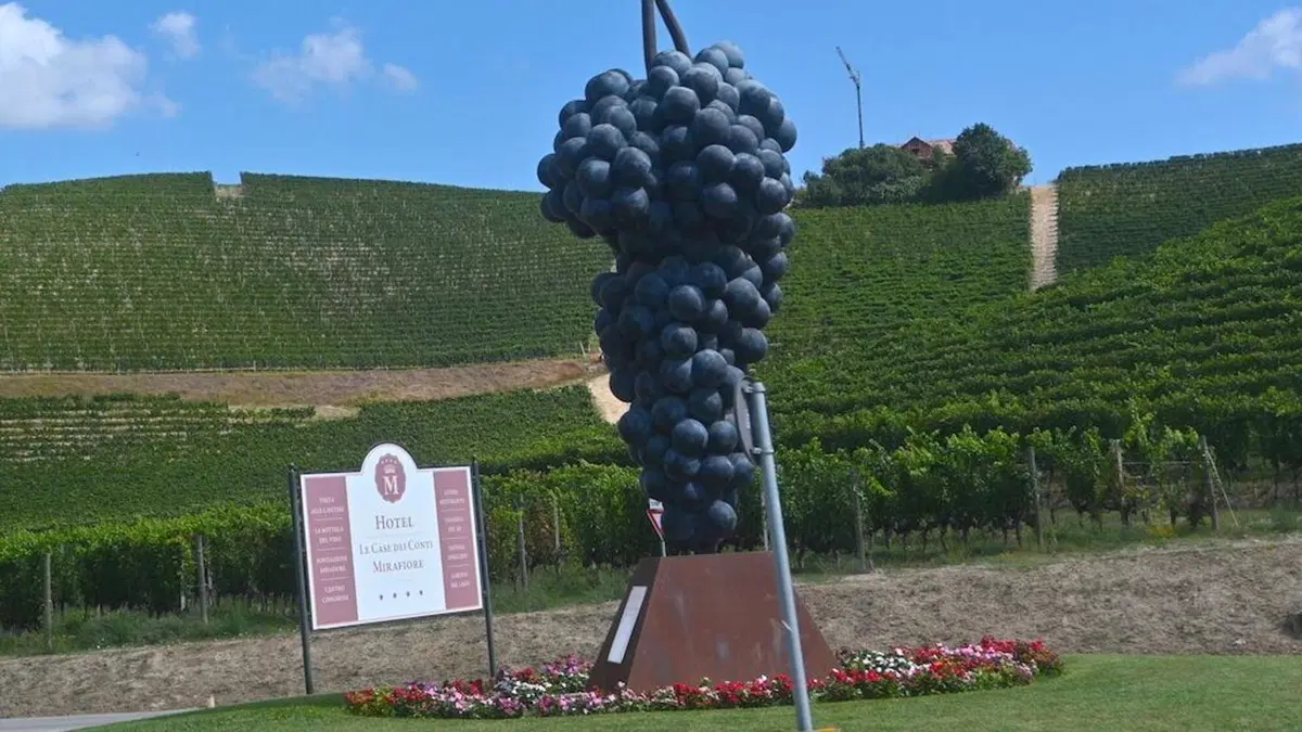 “8 Delle Langhe 2021- 5’ Trofeo Sebaste” noi c’eravamo (38)