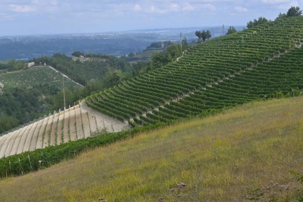 “8 Delle Langhe 2021- 5’ Trofeo Sebaste” noi c’eravamo (62)