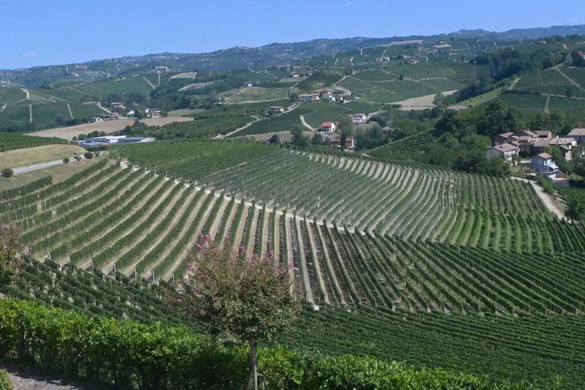 “8 Delle Langhe 2021- 5’ Trofeo Sebaste” noi c’eravamo (64)