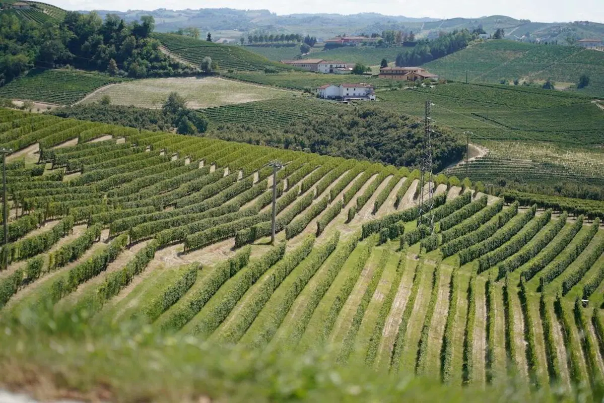 “8 Delle Langhe 2021- 5’ Trofeo Sebaste” noi c’eravamo (67)