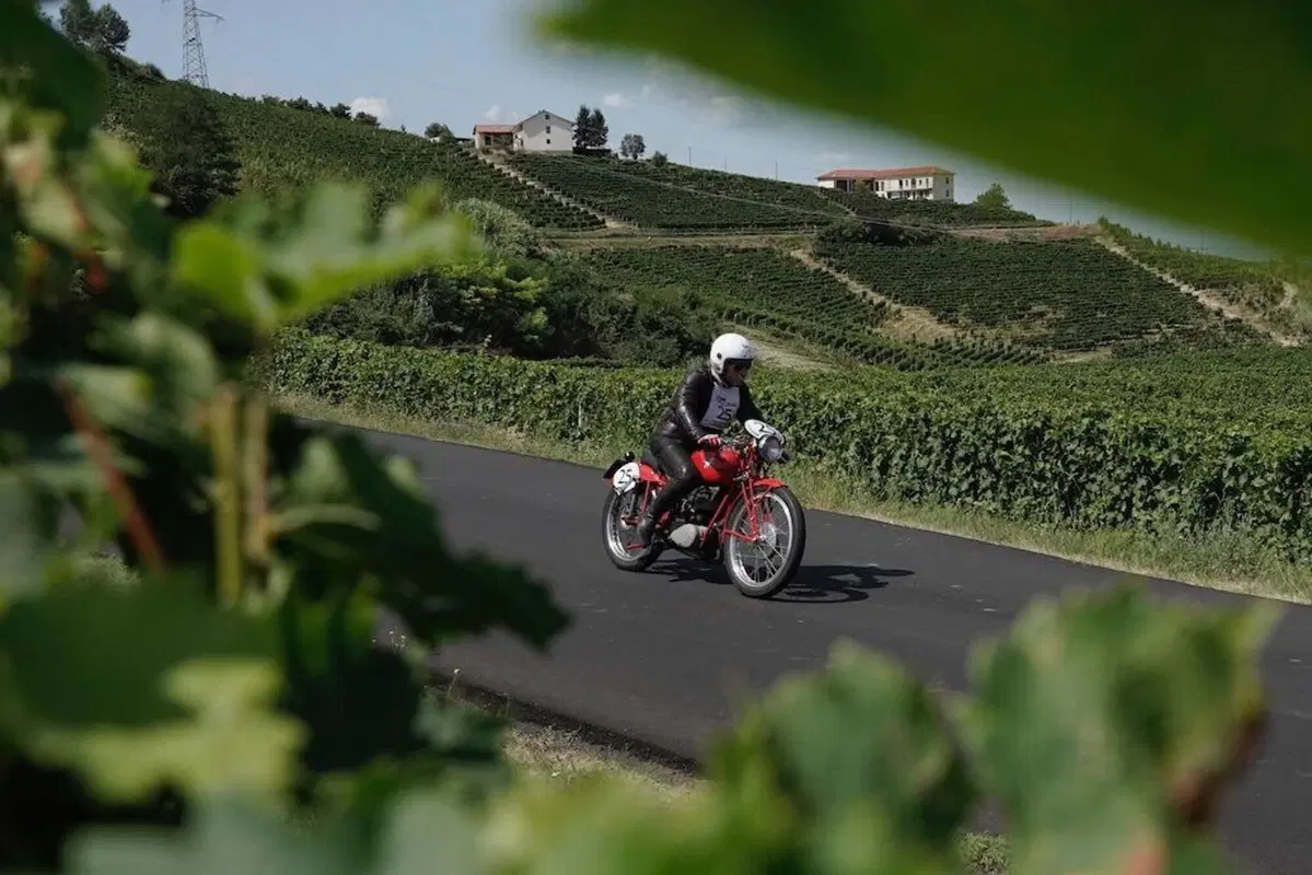 “8 Delle Langhe 2021- 5’ Trofeo Sebaste” noi c’eravamo (68)