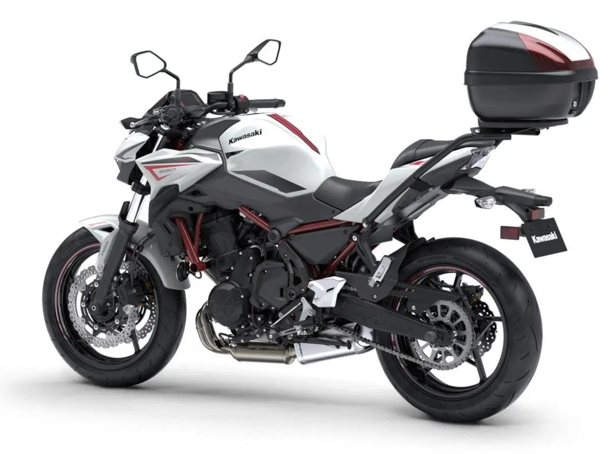Kawasaki Z650 e Z650 Performance 2022: tre nuove colorazioni (6)
