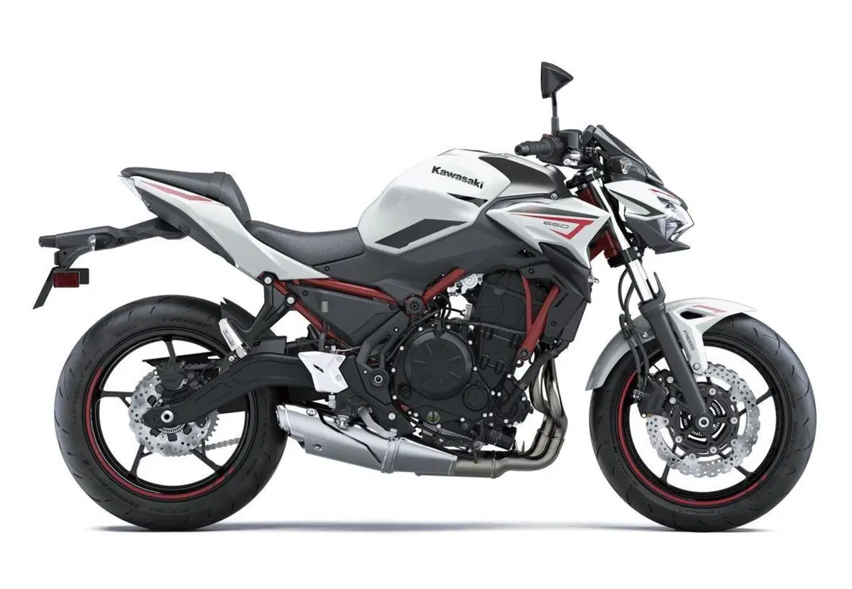 Kawasaki Z650 e Z650 Performance 2022: tre nuove colorazioni (6)