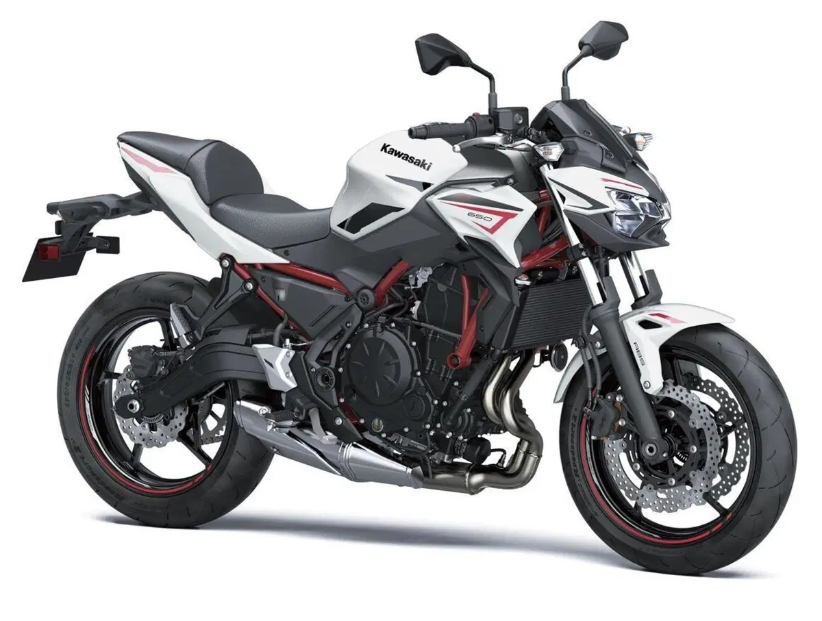 Kawasaki Z650 e Z650 Performance 2022: tre nuove colorazioni (5)