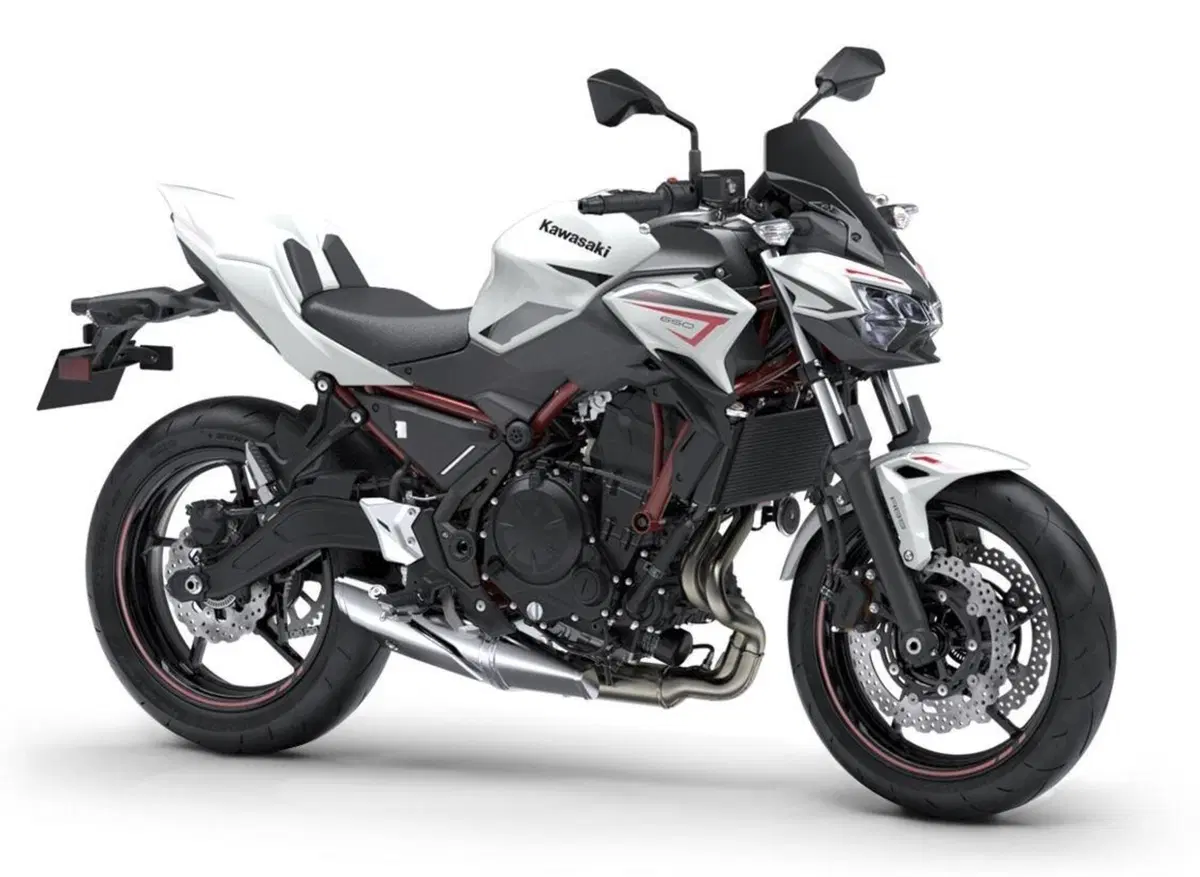 Kawasaki Z650 e Z650 Performance 2022: tre nuove colorazioni (7)