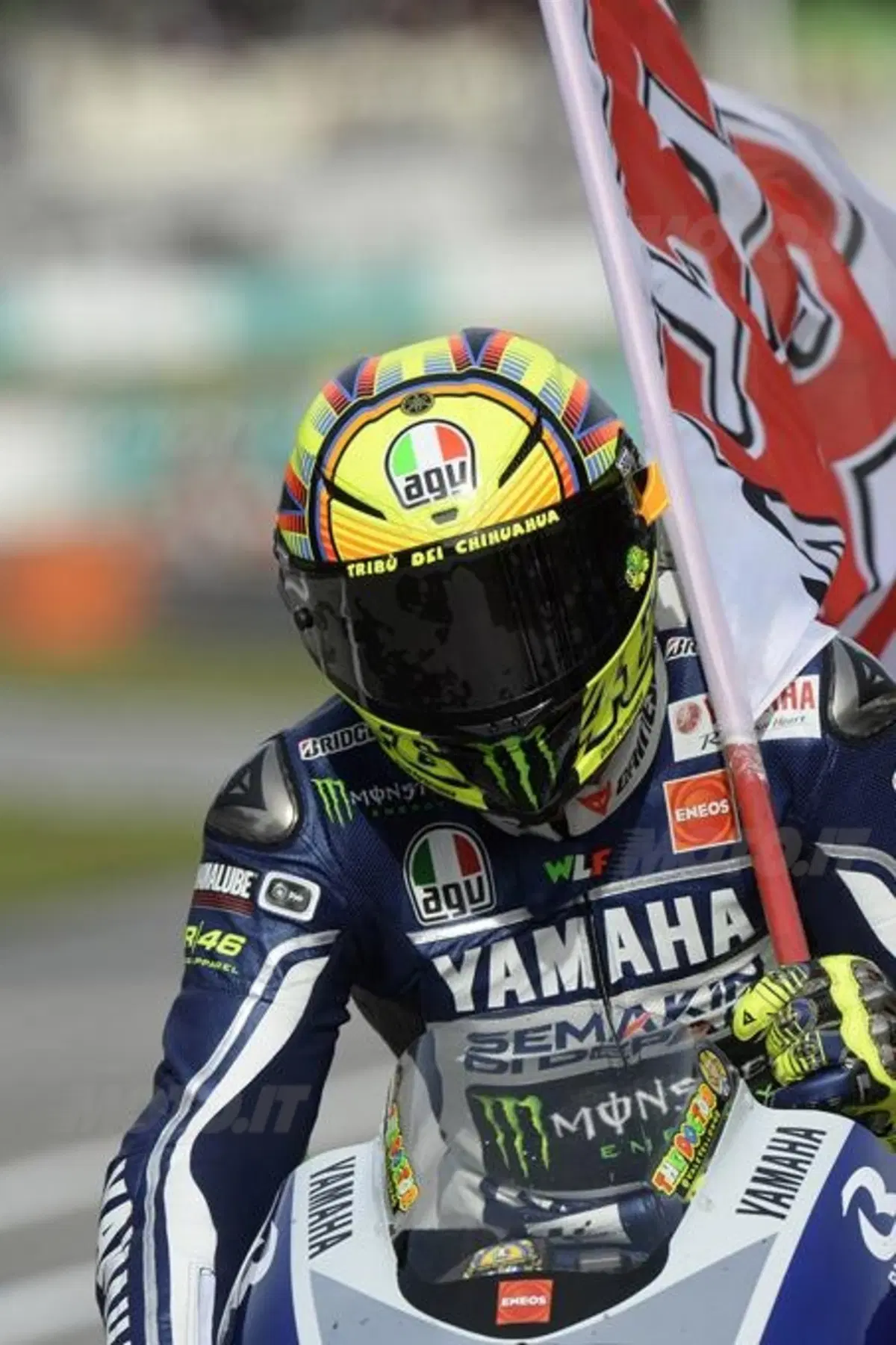 Le foto più spettacolari del GP di Sepang (46)