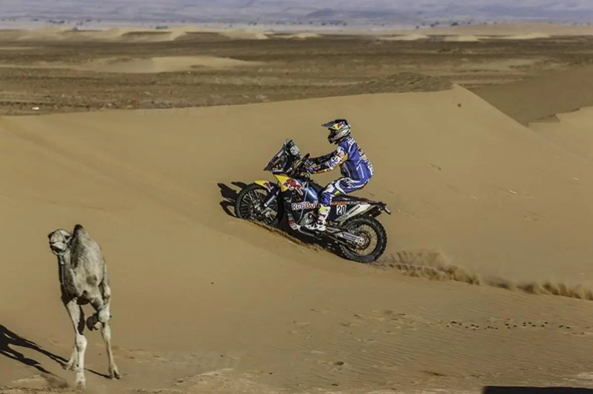 Mondiale C-CR, Rally OiLibya del Marocco. Terza Tappa. Ancora Joan Barreda (Honda) (40)