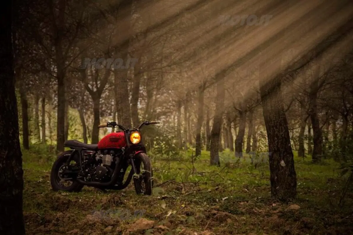 Show your Special. Triumph lancia la sfida tra i dealer per la special più bella